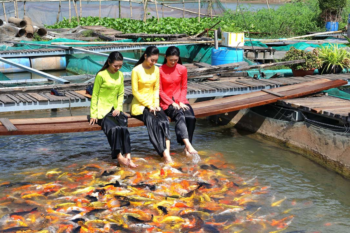 Du lịch Cồn Sơn
