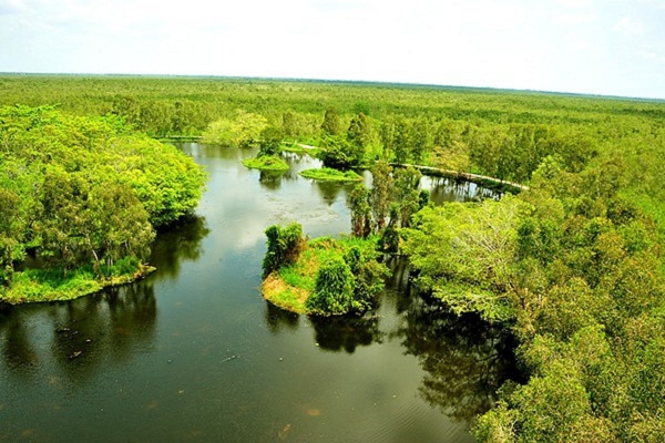 Rừng U Minh Thượng Kiên Giang