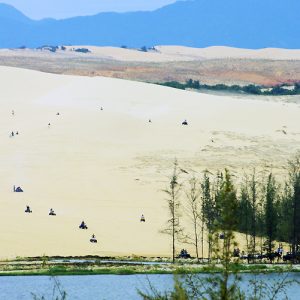 baucattrang1